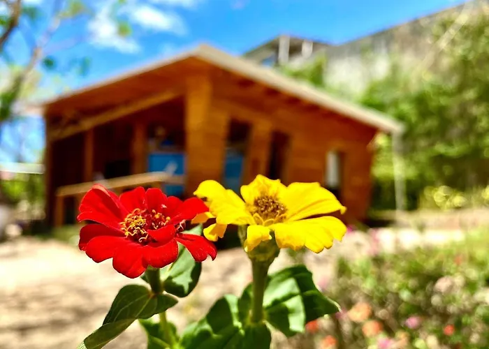 Hoja Azul Chalet