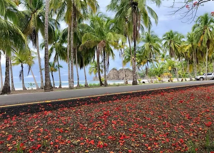 Hoja Azul Hojancha